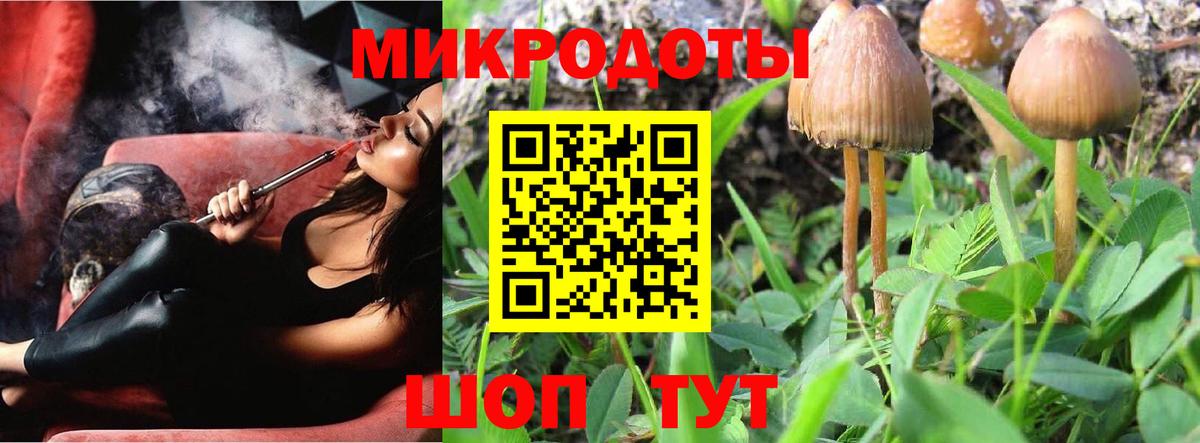 Псилоцибиновые грибы MAGIC MUSHROOMS Петровск